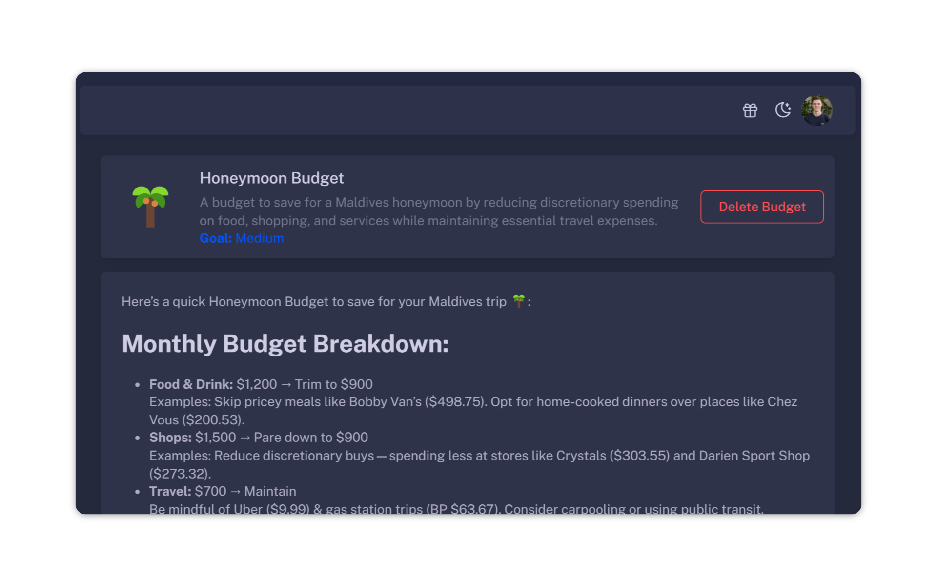 budget dashboard preview